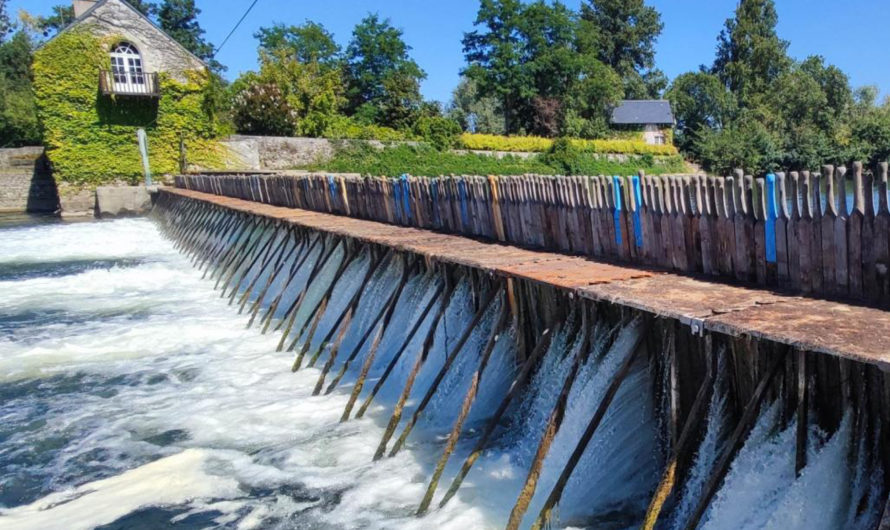 ENTRAVE – NÉGOCIER LA CONTINUITÉ ÉCOLOGIQUE – EXPÉRIMENTATIONS SUR LE DIALOGUE PUBLIC AUTOUR DE LA GESTION DE L&rsquo;EAU DANS LE BASSIN-VERSANT DE LA LOIRE